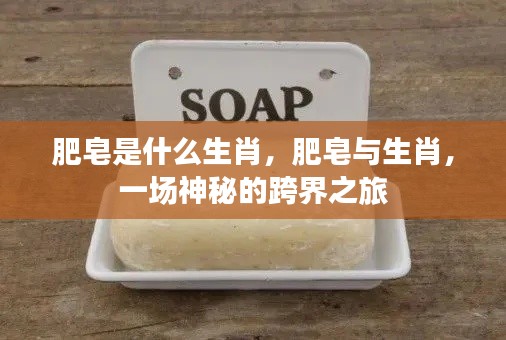 肥皂与生肖,跨界之旅的神秘面纱