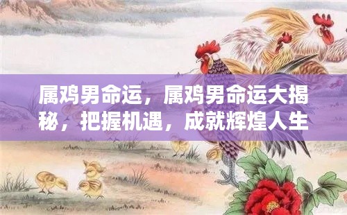 属鸡男的命运揭秘,把握机遇,迈向辉煌人生之路