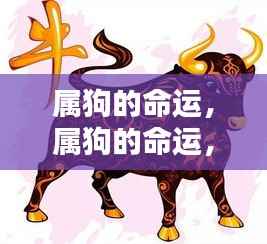 飞沙走石 第5页