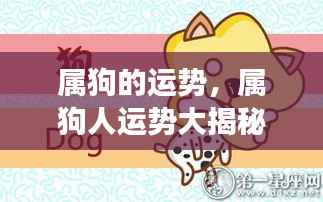 囊萤映雪 第5页