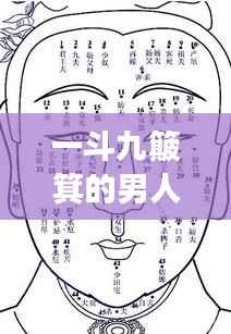 一斗九簸箕的男人命运揭秘，掌纹解读命运密码