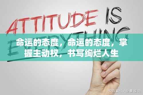 悬驼就石 第4页