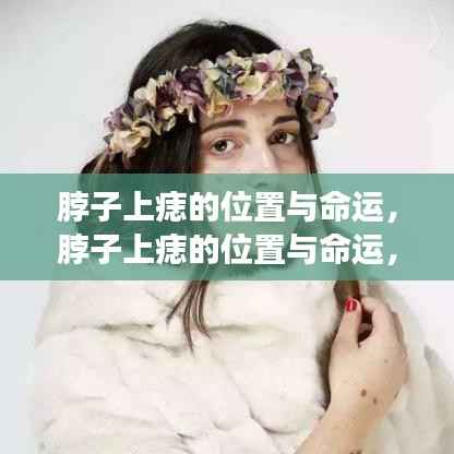 废寝忘食 第5页