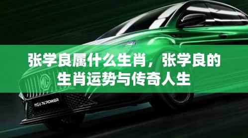 飞鸟依人 第5页