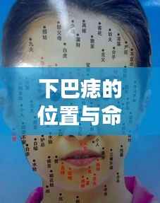 以卵就石 第5页