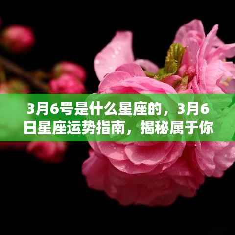 专题 第223页