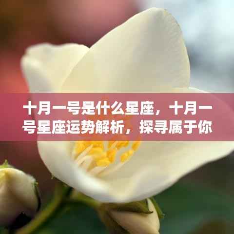 十月一日星座运势解析,探寻属于你的星座之光
