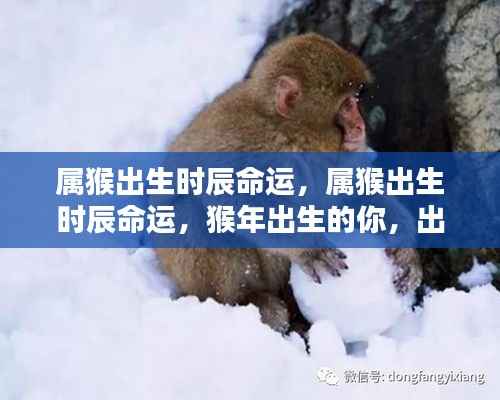 丰容盛鬋 第5页