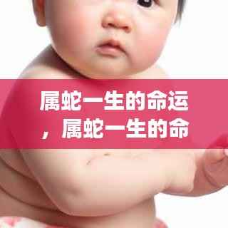 水静河飞 第5页