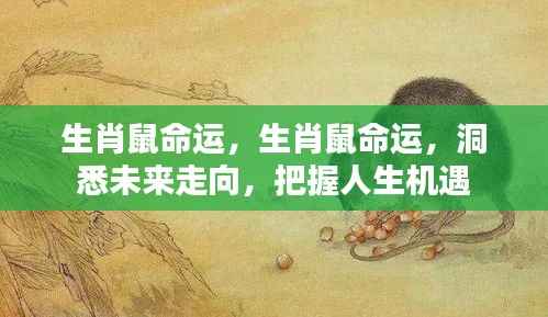 生肖鼠命运解析,洞悉未来走向,把握人生黄金机遇