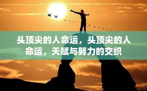 花样新翻 第5页