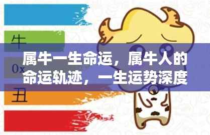 贵不可言 第4页