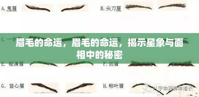 草率从事 第4页