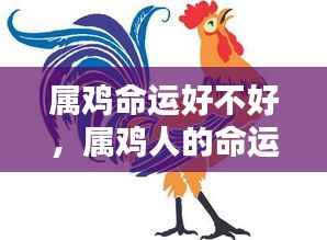 炊粱跨卫 第5页