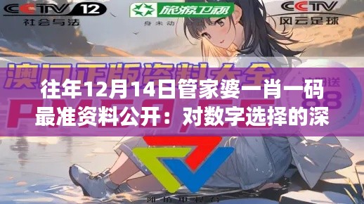 往年12月14日管家婆一肖一码最准资料公开:对数字选择的深入剖析