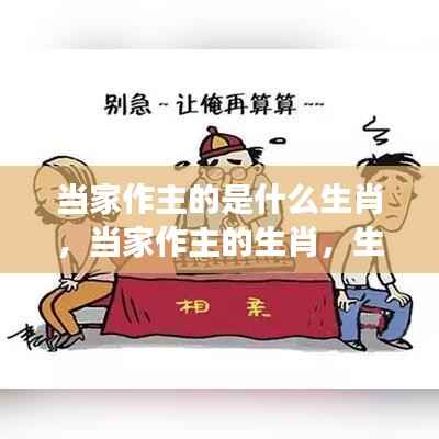 揭秘当家作主的生肖，领导力与家庭运势的洞察之道