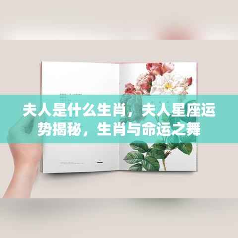 夫人星座与生肖运势揭秘，命运之舞与生肖的秘密