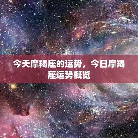 虎背熊腰 第3页