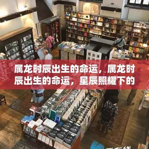 鸿飞雪爪 第3页