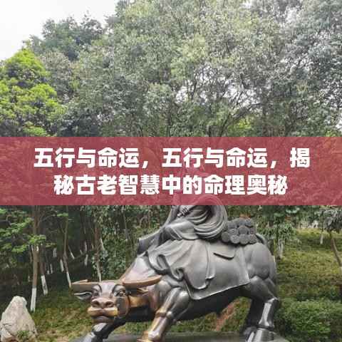 五行与命运,揭秘古老智慧中的命理奥秘之道