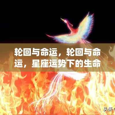 张皇铺饰 第4页