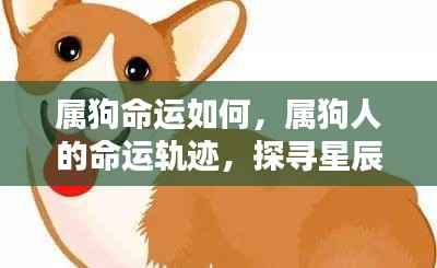 精耕细作 第4页