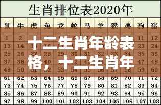 十二生肖年龄对照表，洞悉成长岁月与属相年龄分布