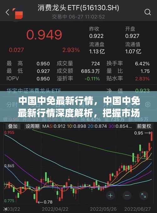中国中免最新行情深度解析,把握市场新动向的全面指南