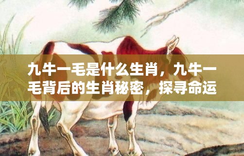 张皇无措 第4页