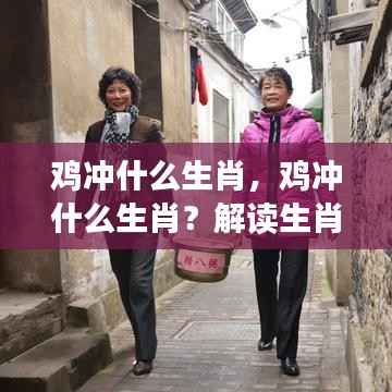 雍荣闲雅 第4页