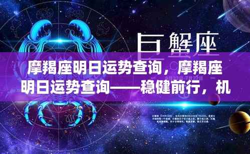 轻徙鸟举 第4页