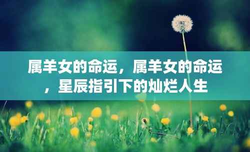 屈尊就卑 第4页