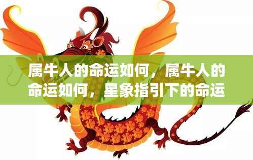 属牛人的命运解析，星象指引下的命运探索