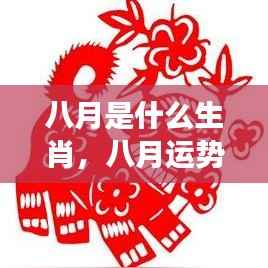 八月生肖运势揭秘，展望生肖运势展望与运势展望