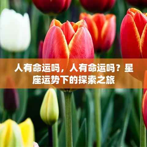 探索星座运势背后的命运之谜,人类命运真的存在吗?