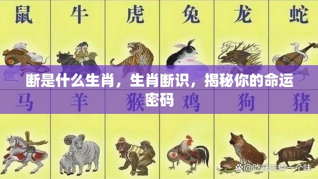 揭秘生肖断识,探寻命运密码与生肖断之奥秘