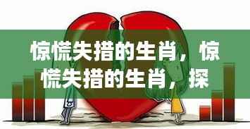 惊慌失措的生肖,探寻星座运势背后的深层心理世界