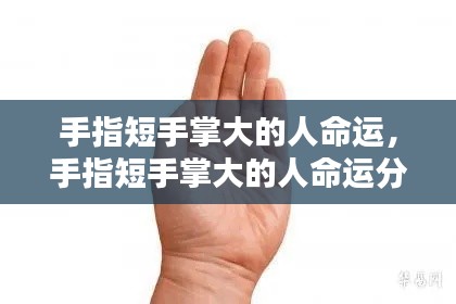 手指短手掌大的人命运解析与解读