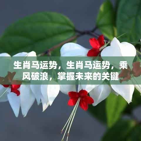 鸟之将死 第3页