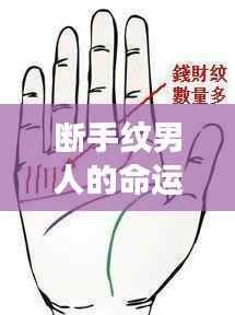 张三李四 第3页