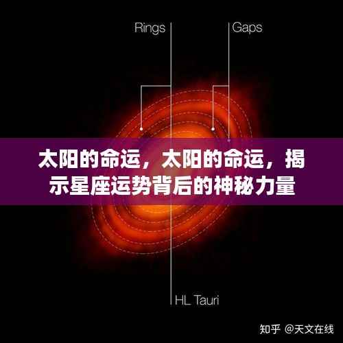 真独简贵 第3页