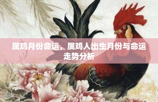属鸡人的命运走势,出生月份与命运分析