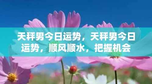 天秤男今日运势大解析,顺风顺水,机会把握是关键