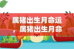 岁月轮回中的吉星高照,属猪出生月命运解析