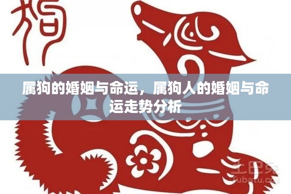 回眸最初 第4页