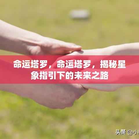 命运塔罗,星象指引下的未来之路揭秘