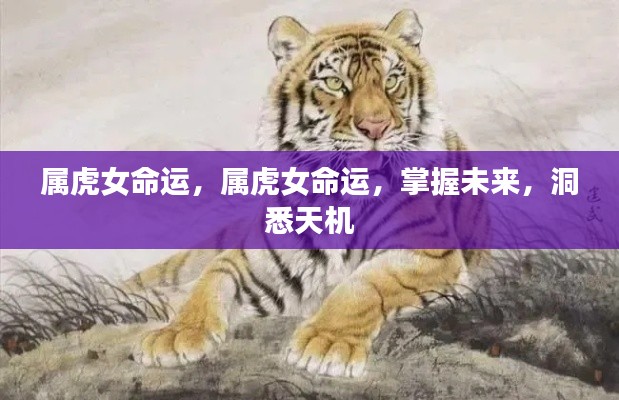 属虎女的命运探索,洞悉未来,掌握天机之路