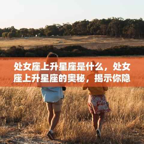 漫天飞舞 第4页