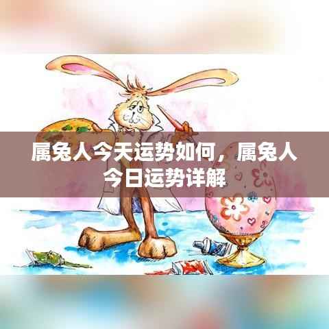 属兔人今日运势详解，幸运伴随，把握机会！