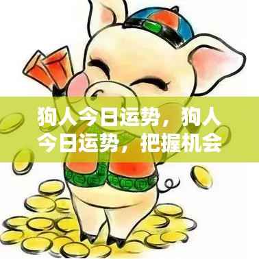 狗人今日运势揭秘，把握机会，幸运降临